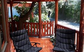 Cabaña la Araucaria