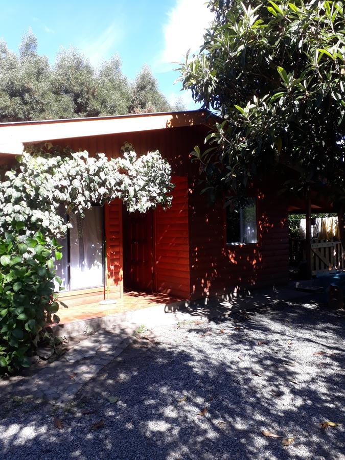 Cabaña la Araucaria El Manzano  Exterior foto
